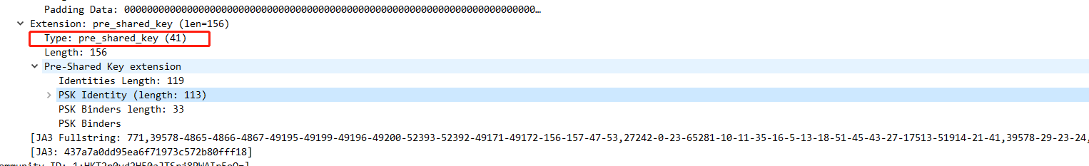 Type: pre_shared_key (41)